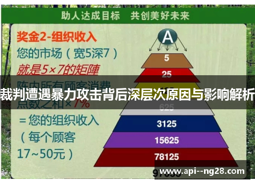 裁判遭遇暴力攻击背后深层次原因与影响解析
