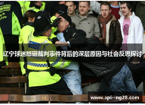 辽宁球迷怒砸裁判事件背后的深层原因与社会反思探讨 辽宁球迷怒砸裁判事件背后的深层原因与社会反思探讨