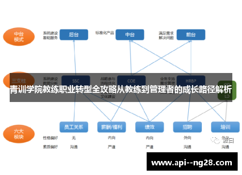 青训学院教练职业转型全攻略从教练到管理者的成长路径解析